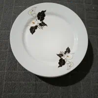 ظرف برنج خوری چینی اصل و چند مدل ظرف دیگه