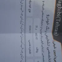 ام وی ام ۳۱۵ مدل ۹۷|خودرو سواری و وانت|مشهد, تربیت (صدف)|دیوار