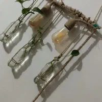 گل و گیاه|گل و گیاه طبیعی|تربت جام, شیخ احمد جامی|دیوار