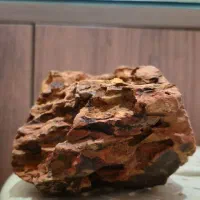 آکواریوم آماده|ماهی|ری, دولتآباد|دیوار