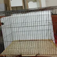 قفس پرنده ، قفس همستر و خرگوش|لوازم جانبی حیوانات|قزوین, |دیوار