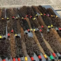 خرید موی طبیعی بالای ۵۰سانت