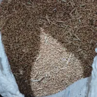 گندم|گل و گیاه طبیعی|بروجن, |دیوار