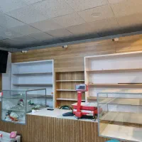 یخچال و فریز|فروشگاه و مغازه|کرمان, |دیوار