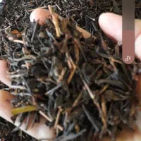 چای چوب  خوش عطر و طعم|خوردنی و آشامیدنی|قم, انسجام|دیوار