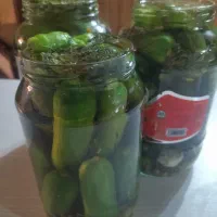 ترشیجات|خوردنی و آشامیدنی|فولادشهر, مسکن مهر فولادشهر|دیوار