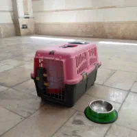باکس حمل گربه یا سگ کوچک