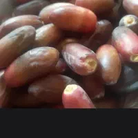 خرما ربی درجه یک خوش طعم درب منزل تحویل داده میشود