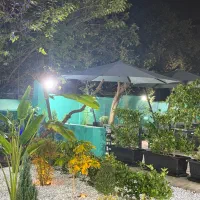 باریستا ابمیوه و شیرموز