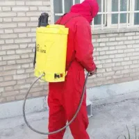 سمپاشی ساس سوسک کنه سم پاشی یک جلسه ریشه کن تضمین|خدمات نظافت|مشهد, شهید معقول|دیوار