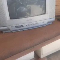 تلویزیون