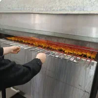 کربلا کاروان احمدی ارزون قیمت|تور و چارتر|زیرکوه, |دیوار