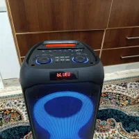 اسپیکر|سیستم صوتی خانگی|گلوگاه, |دیوار