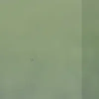 بلیط فجر استقلال