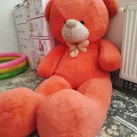 خرس نرمالو خارجی