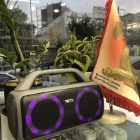 اسپیکر|سیستم صوتی خانگی|دورود, |دیوار