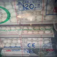 تخم نطفه دار اردک محلی و روسی برای جوجه کشی|حیوانات مزرعه|رشت, حومه رشت|دیوار