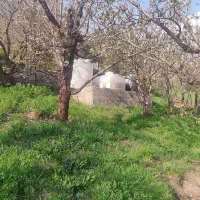 خانه باغ 200متری لواسان بزرگ ایران جورد تهاتر|فروش خانه و ویلا|لواسان, |دیوار