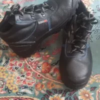 کفش ایمنی|کیف، کفش، کمربند|آبدانان, |دیوار