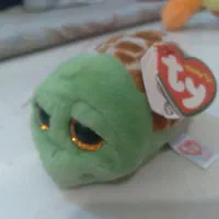 لاک پشت پولیشی تی وای