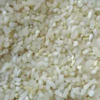 برنج کامفیروزی به شرط|خوردنی و آشامیدنی|شیراز, کوشک میدان|دیوار