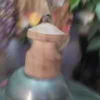 پرنده خاکی