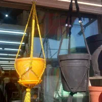 گل گیاه طبیعی