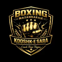 طراحی لوگو/لوگوموشن/برندینگ حرفهای با هوش مصنوعی