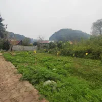 فروش زمین مسکونی سند دار