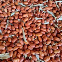 سنجد|خوردنی و آشامیدنی|بهار, |دیوار