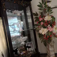 ویترین سالم