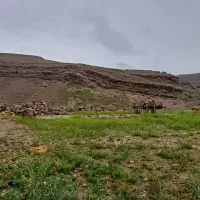 فروش زمین ۱۰۰۰ متری داخل بافت روستای اندرخ|فروش زمین و ملک کلنگی|مشهد, تبادکان|دیوار