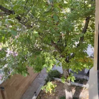 ۲ویلای سنددار۴۰۵متری باشرایط ویژه*پرداخت بهای یکی