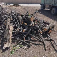 خرید چوب و هیزم باغی.