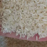 برنج سرلاشه کشت دوم فوق معطر     نیم دانه فوق معطر|خوردنی و آشامیدنی|اصفهان, رزمندگان|دیوار