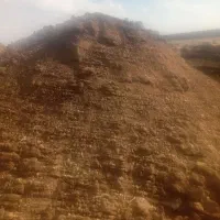 کود مرغی