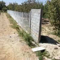 باغ در شهرستان نهاوند|فروش زمین و ملک کلنگی|تهران, مختاری|دیوار