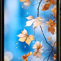 سامسونگ A14 حافظه ۱۲۸|موبایل|مشهد, کارمندان دوم|دیوار