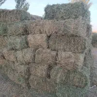 فروش یونجه چین اول پرس شده کاملا خشک|عمدهفروشی|سراب, |دیوار