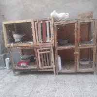کفتر وجفت کن