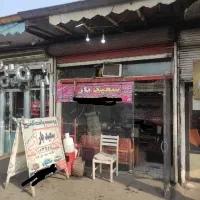 موسسه حمل و نقل    سعید بار