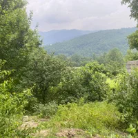 ویلا باغ جنگلی دربست «سنتی»|اجارهٔ کوتاهمدت ویلا و باغ|زیرآب, |دیوار