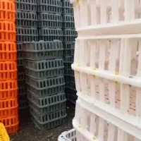 سبد حمل مرغ زنده