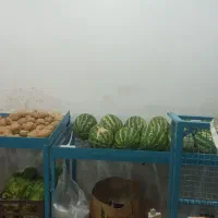 قفسه میوه جا کولری|فروشگاه و مغازه|علی‌آباد کتول, |دیوار