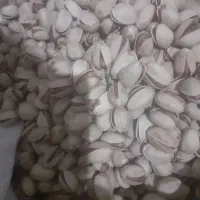 پسته خندان کله قوچی|خوردنی و آشامیدنی|نوده انقلاب, |دیوار