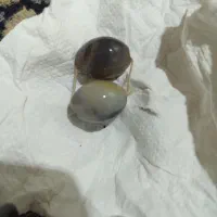 مهره های قدیمی موکل دار قوی