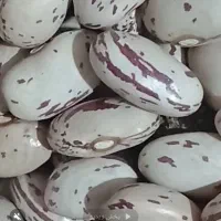 کیلو ۳۸۰
