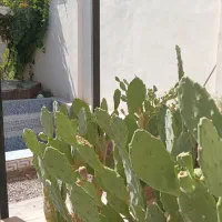 ویلای آماده در زرندیه روستای صدرآباد