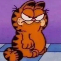 یه گربه پیدا شده