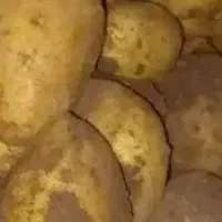 سیب زمینی تازه